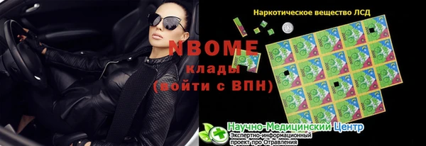 сатива Богородицк