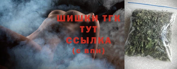 крисы Богородск