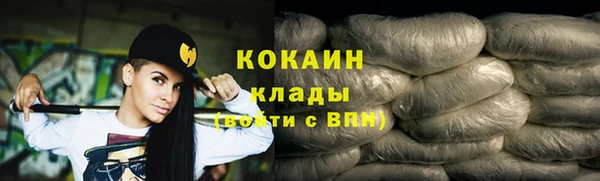 ГАЛЛЮЦИНОГЕННЫЕ ГРИБЫ Богданович