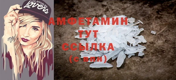 ГАЛЛЮЦИНОГЕННЫЕ ГРИБЫ Богданович