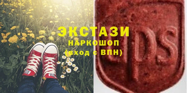крисы Богородск