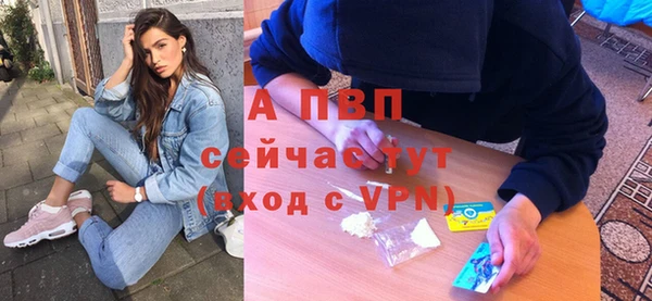 сатива Богородицк