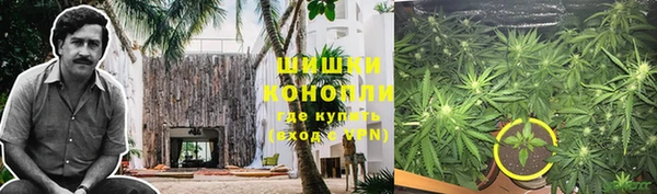 крисы Баксан