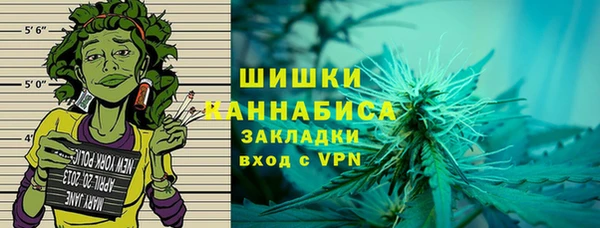 сатива Богородицк
