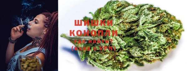 ГАЛЛЮЦИНОГЕННЫЕ ГРИБЫ Богданович