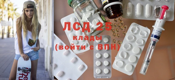 ГАЛЛЮЦИНОГЕННЫЕ ГРИБЫ Богданович