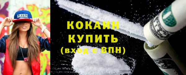 ГАЛЛЮЦИНОГЕННЫЕ ГРИБЫ Богданович